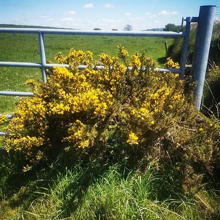 Lejlighed Countryside Bliss *